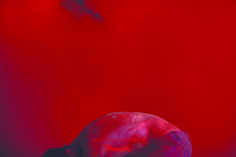 16_02638_005_RED_HO5_resize.jpg