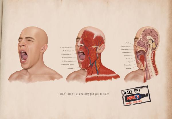 pepsi-max-anatomy-small-36572.jpg