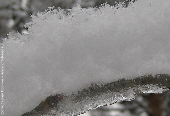 my_ice2.jpg