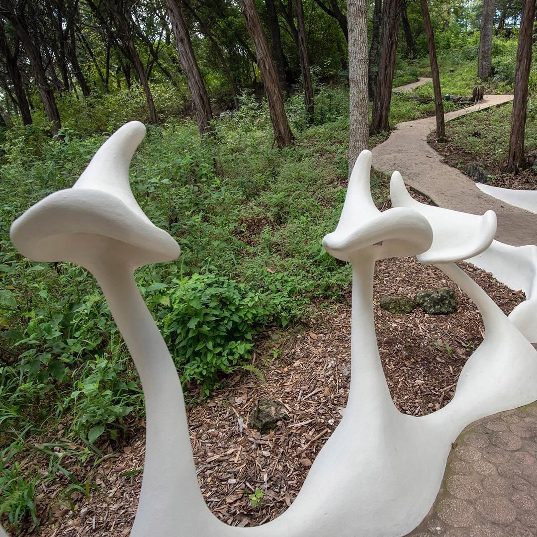 51FD5CF8-FC05-49B5-A77E-2C0A2FEFF37E