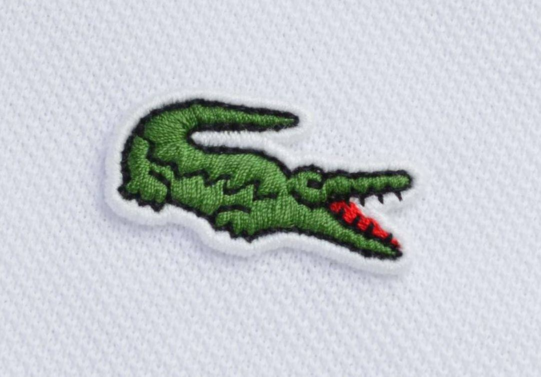 photo_5211121178318587688_y