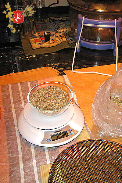 beer2010_01.jpg