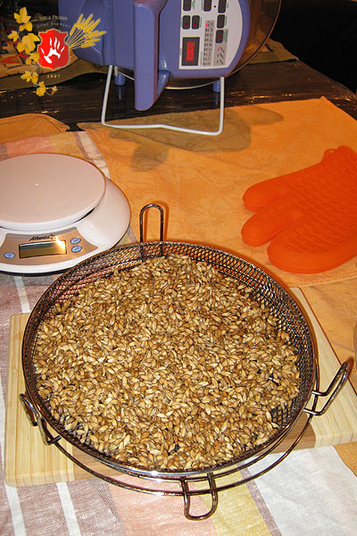 beer2010_02.jpg