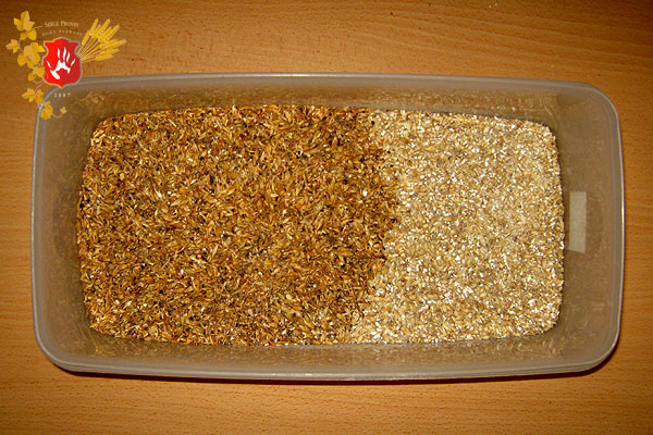 beer2010_03.jpg