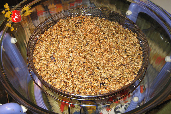 beer2010_04.jpg