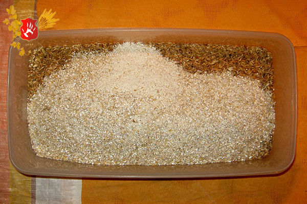 beer2010_05.jpg