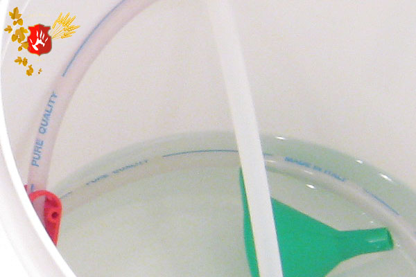 beer2010_07.jpg