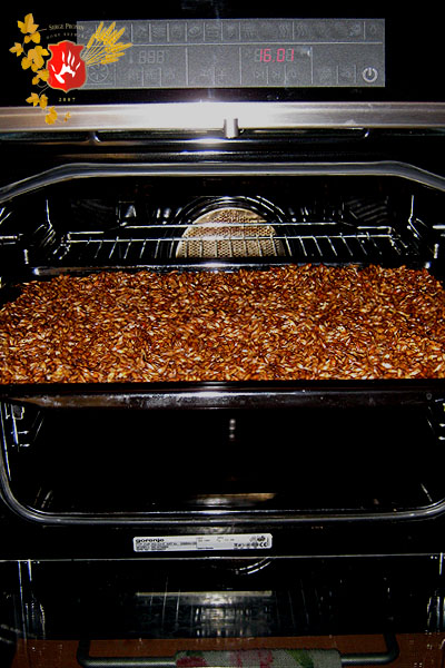 beer2010_08.jpg