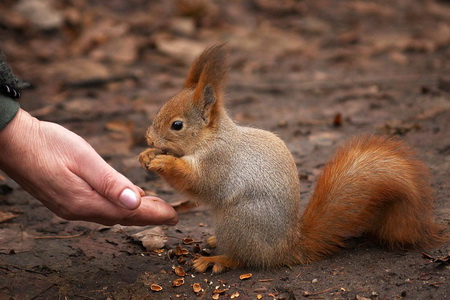 ������� ��������: ��� ��� �� ������, � ��� ��� �������