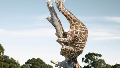 �����: ��������� ������ �����������