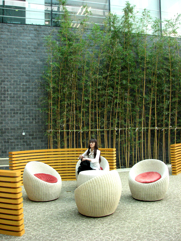 Shanghai-JJ-01.jpg