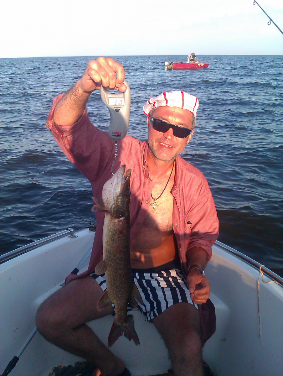 �������, ���� 2011