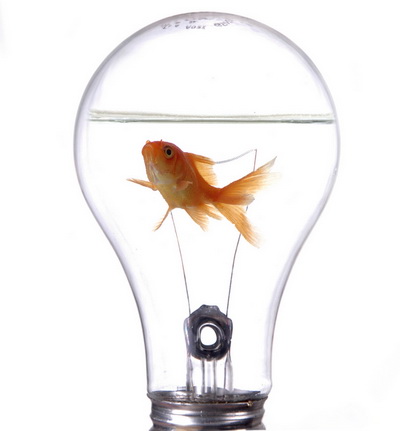 ���������������� ������ � ��� ���� ��������� ������ ������������