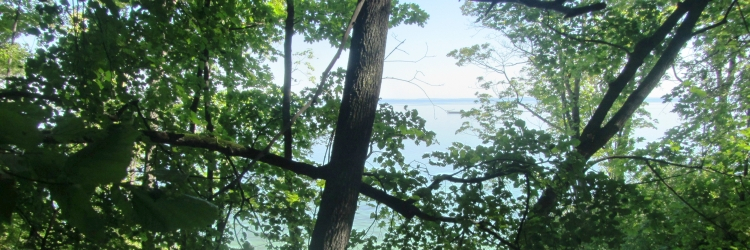 �? ��� �����