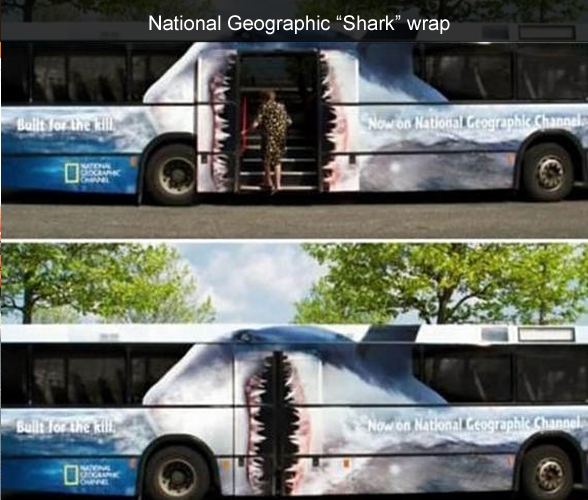 bus_shark.jpg