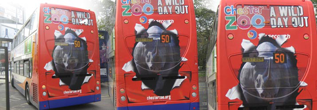 5065.jpg