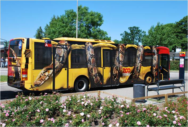 5066.jpg