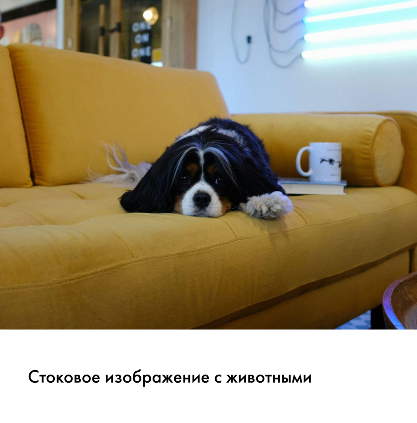 ������� 1