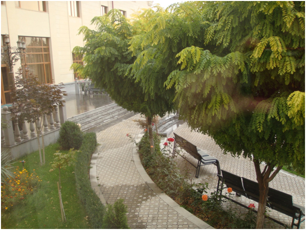 p4.jpg