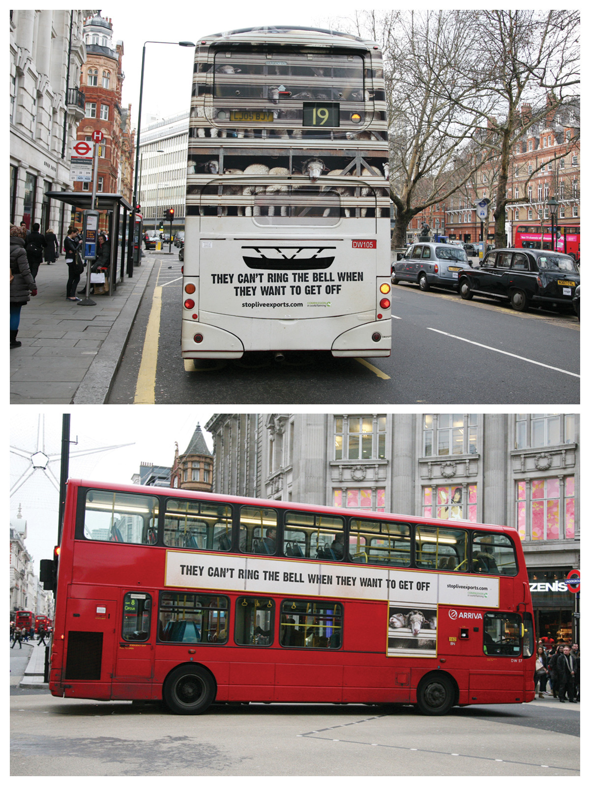 Compassion_In_World_Farming_Stop_Live_Exports_1.jpg
