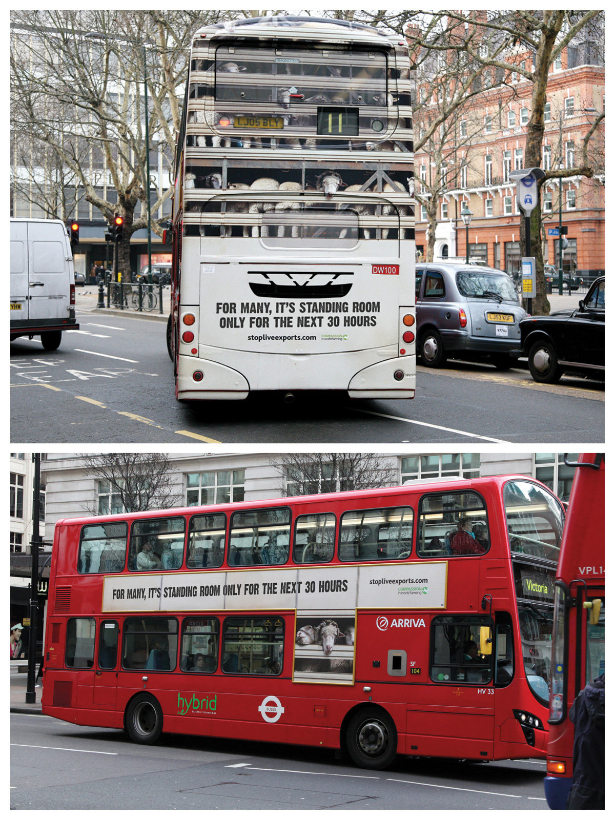 Compassion_In_World_Farming_Stop_Live_Exports_2_.jpg