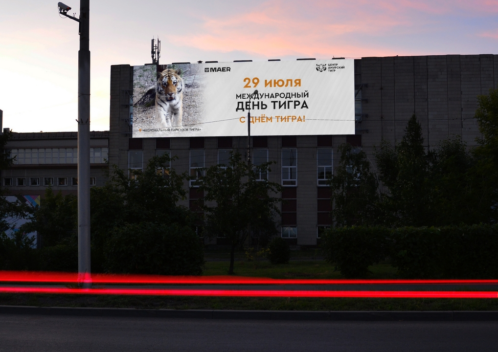 ���? _? ��? �_�? �����? ��_? � ����? ����� 51�1_�? �? _2025_1