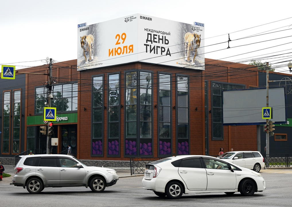 ? _? ? _? _?  ?  ?  116_? ? _2025_1