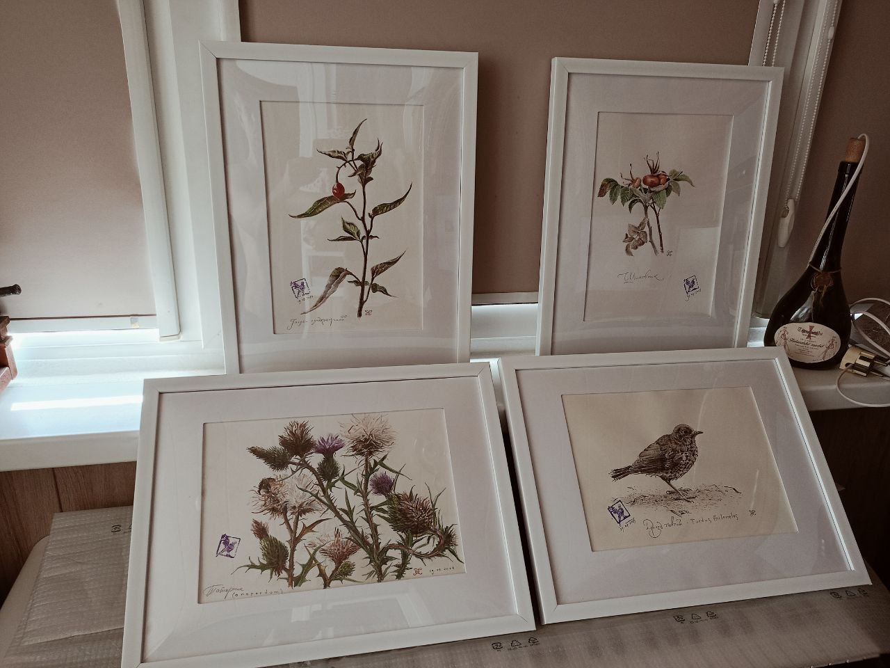 photo_2025-08-01_11-31-23