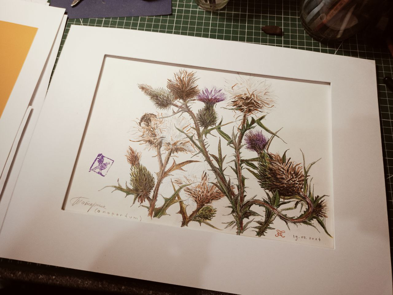 photo_2025-08-01_11-31-23 5