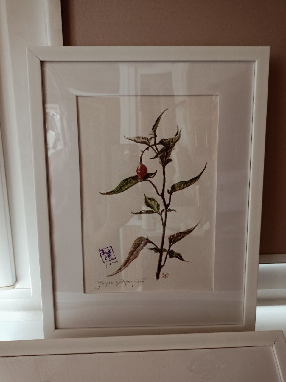 photo_2025-08-01_11-31-23 4