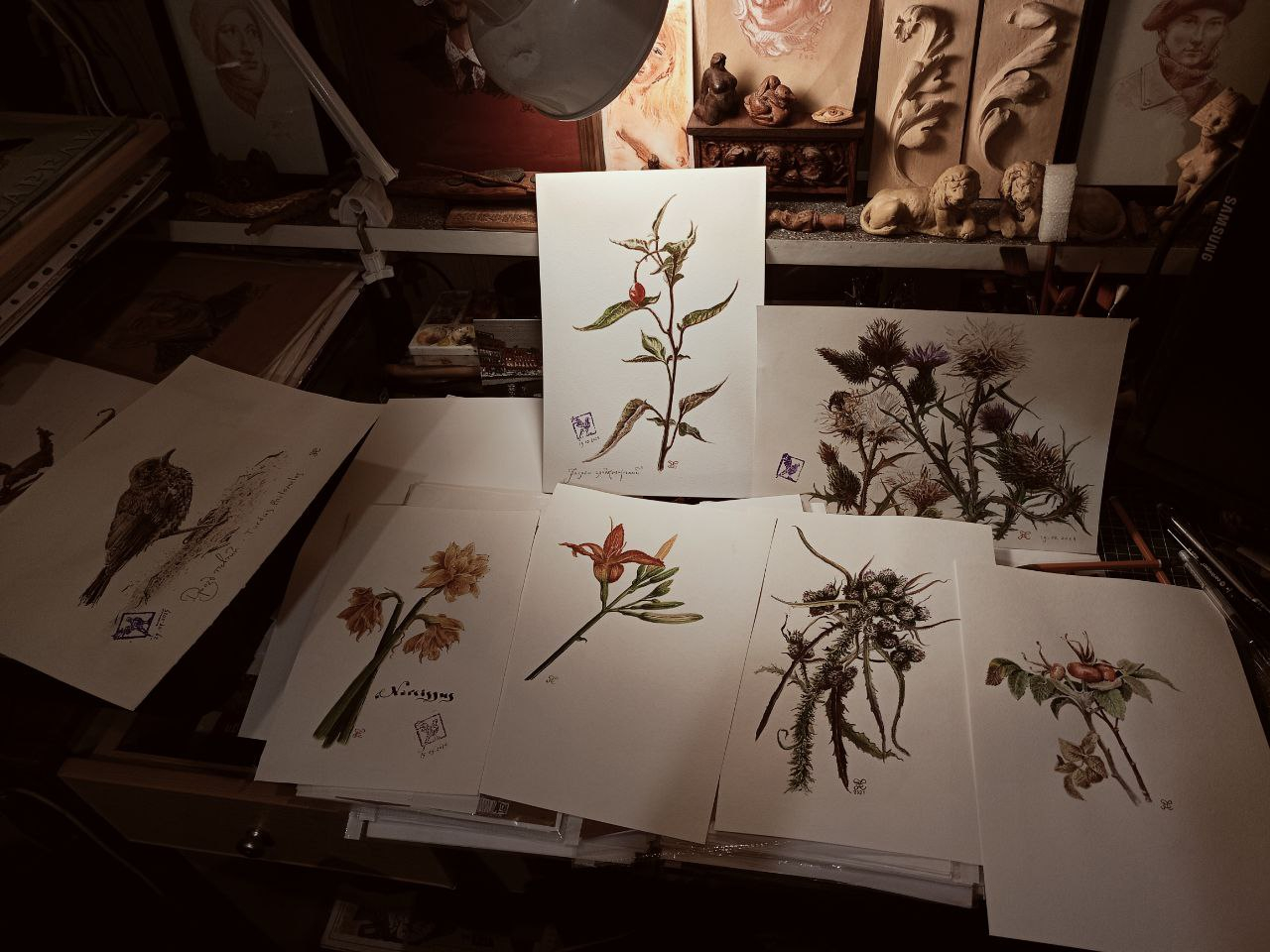 photo_2025-08-01_11-31-23 2