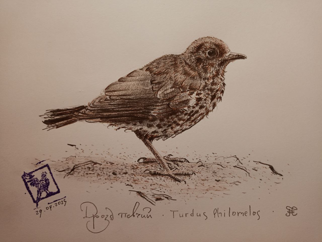 photo_2025-07-30_13-16-54