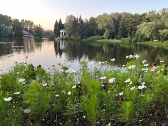 ����? ������_2025-09-03_162832130