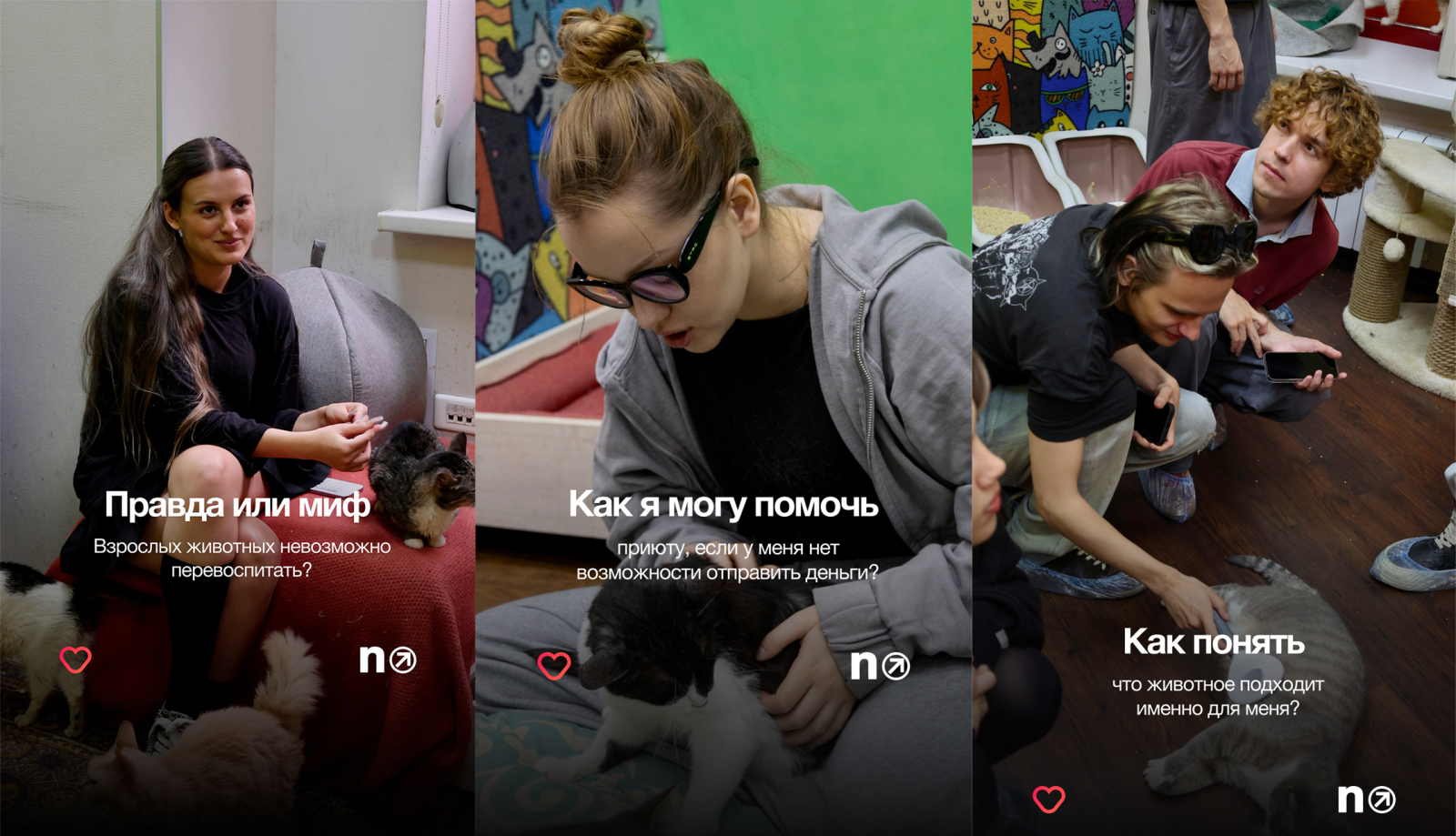 kollaj