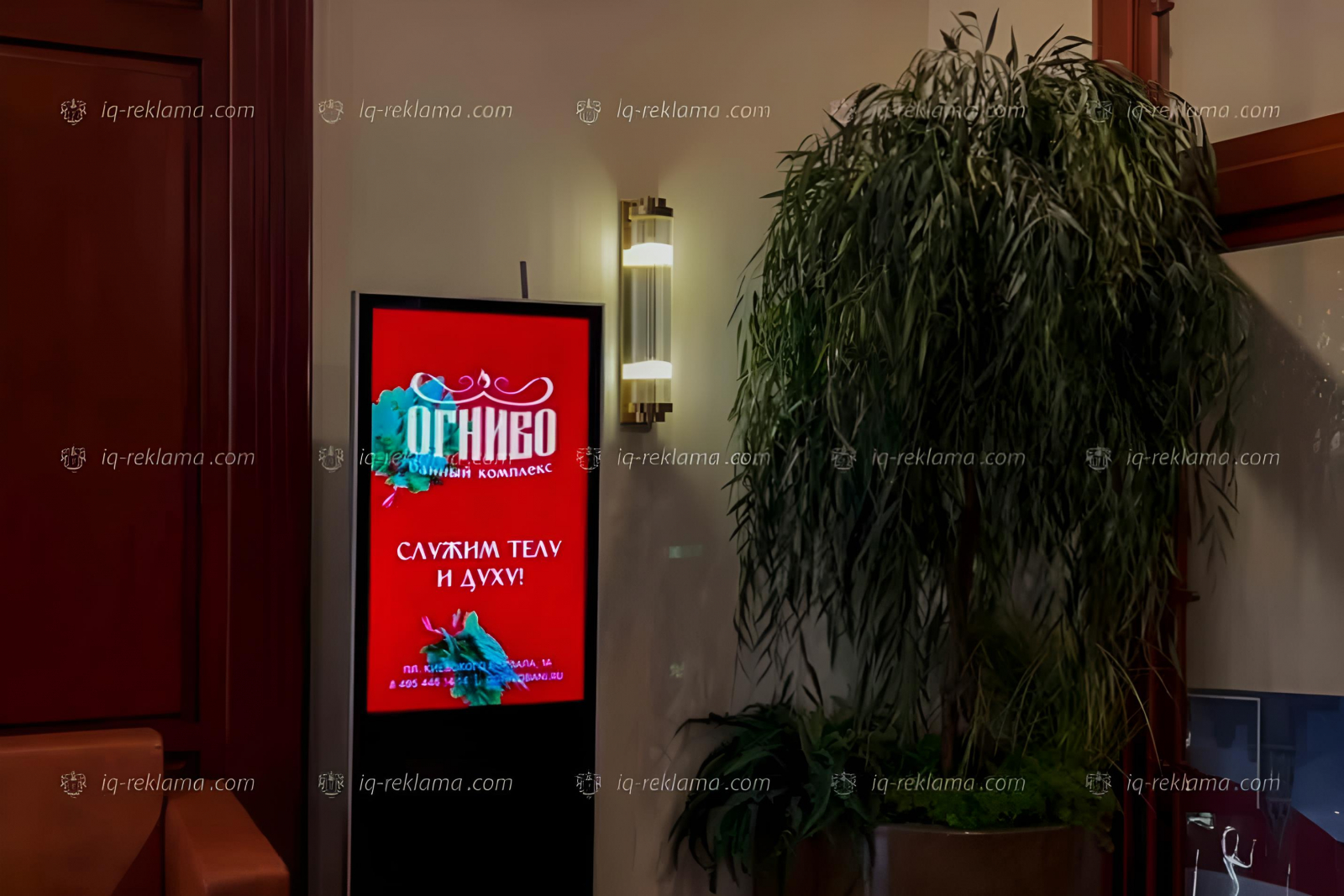 ������_66