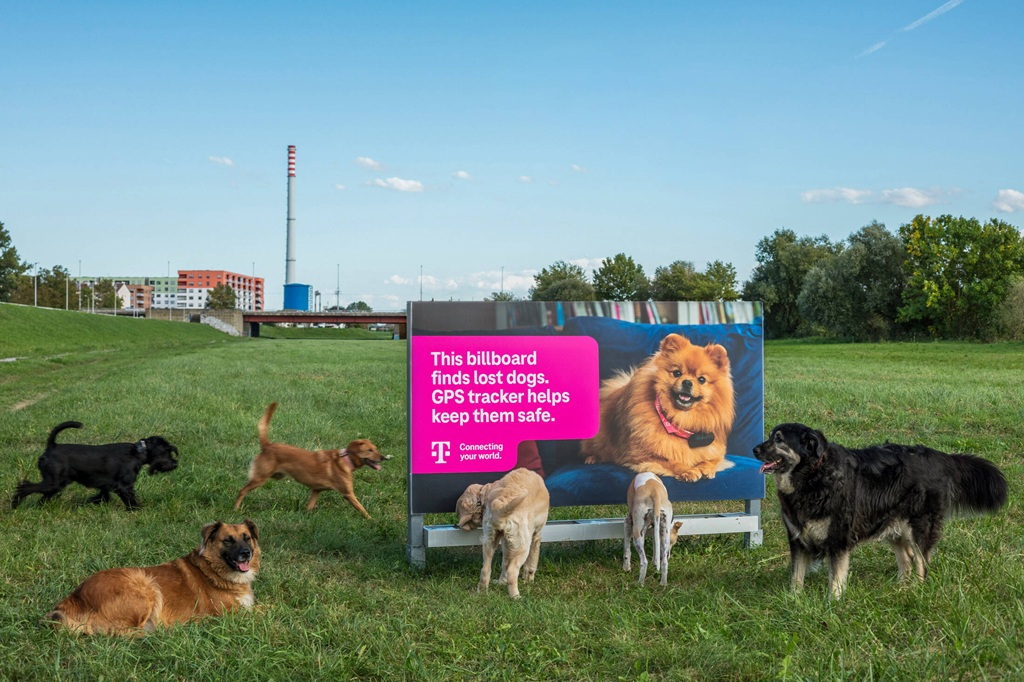The poster that helps find lost dogs