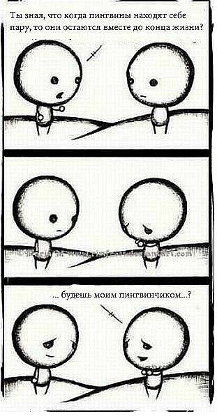 ���� ���� ���������