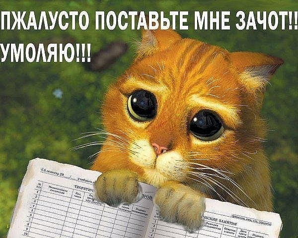 ������