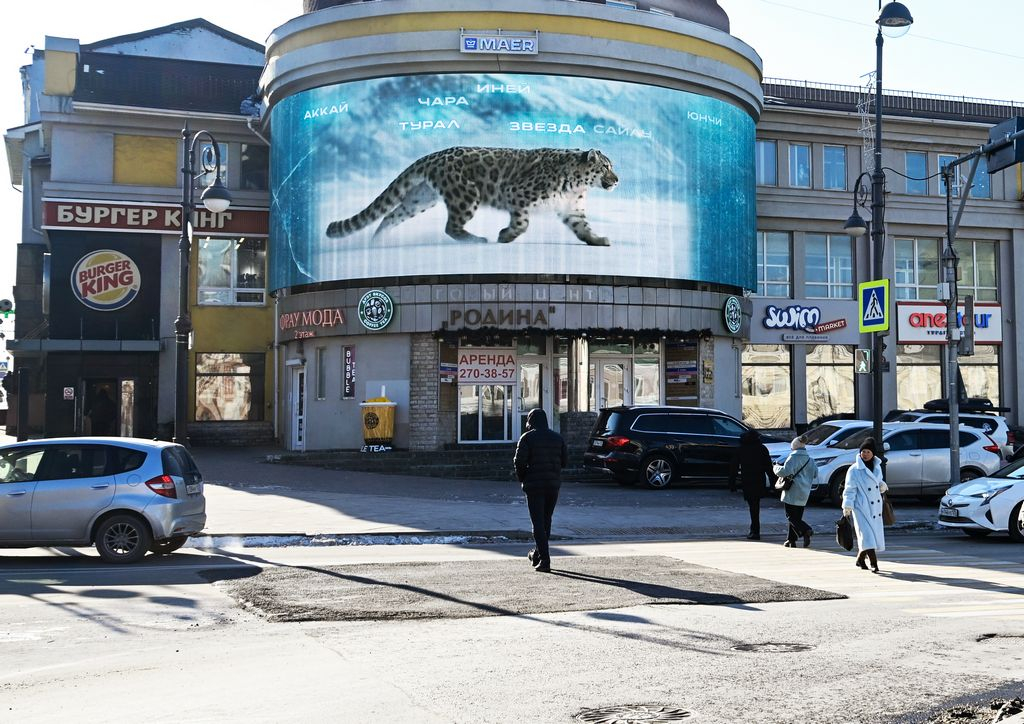 �����? � ��? �_��������? ��_ ? � ���������� 12_�����? ? _2025_1 - 1K JPEG