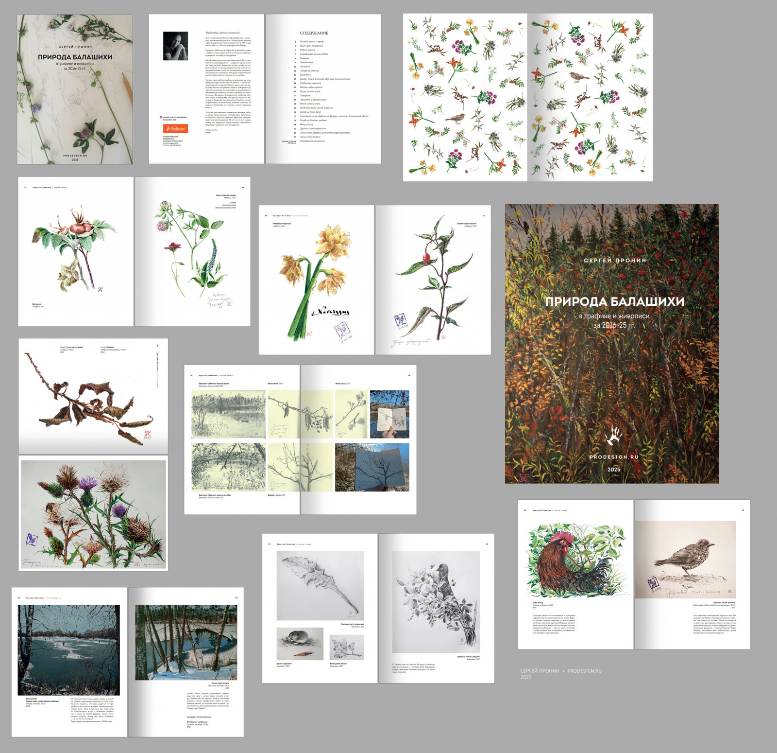 pronin_priroda_balashihi_2016_2025_2