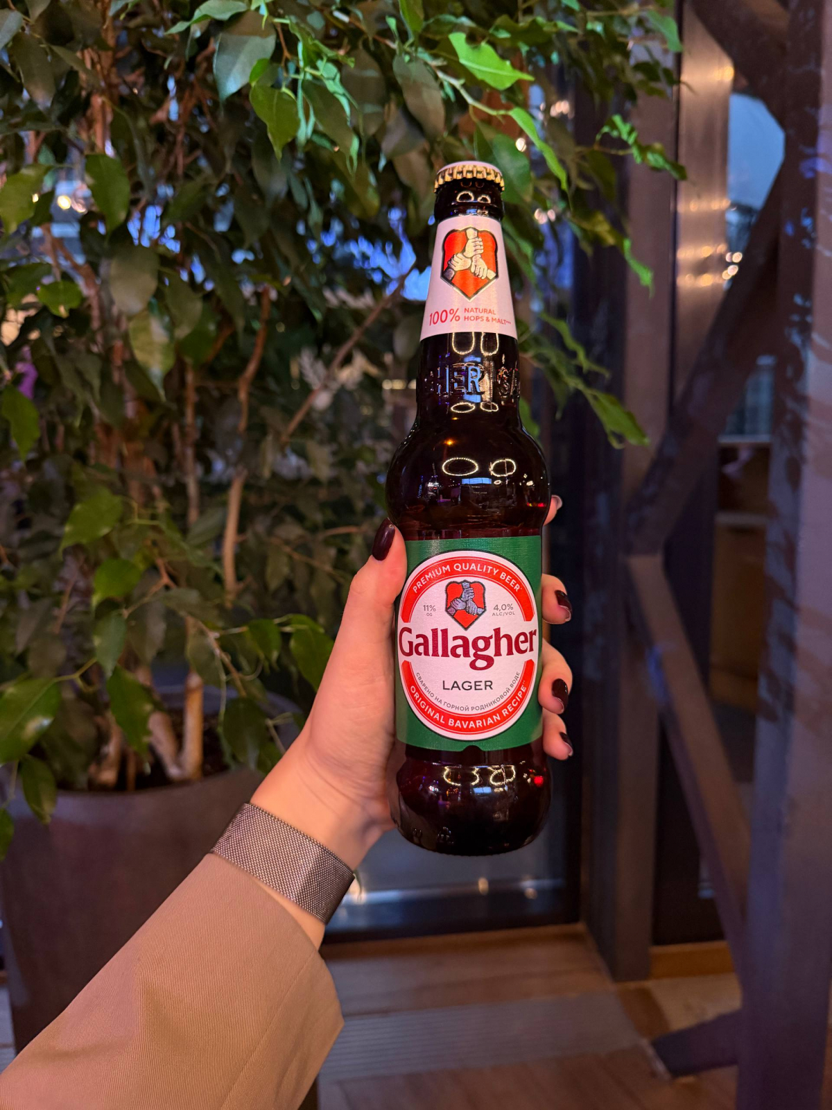 photo_2026-01-15_12-56-17