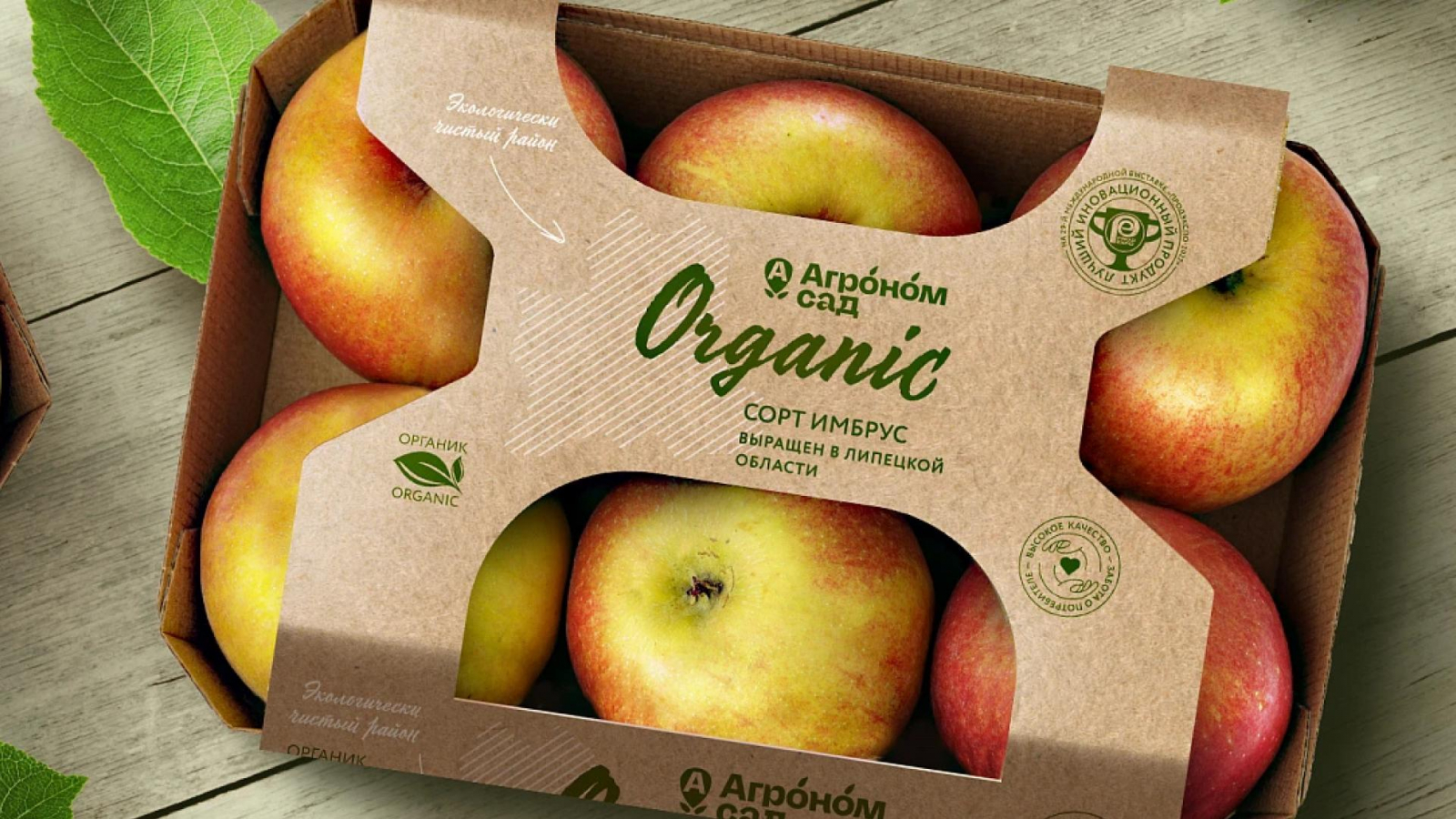 photo_2026-01-15_13-00-03