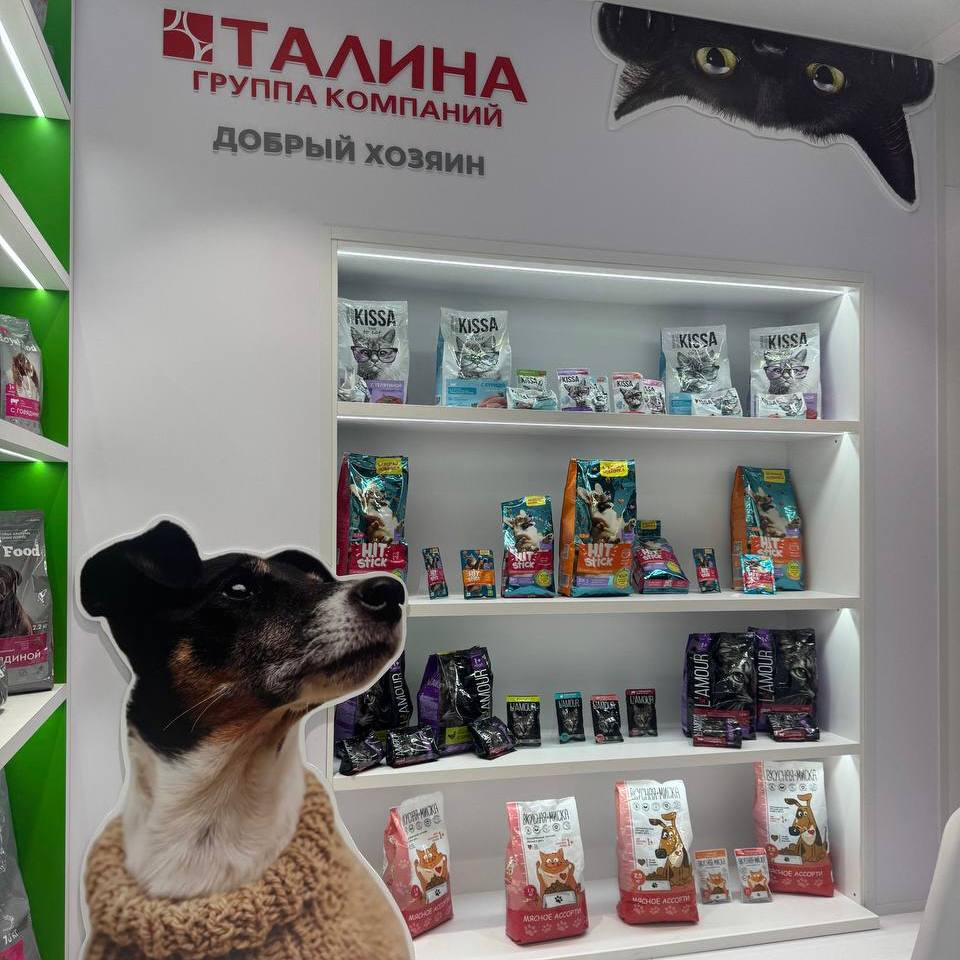 photo_2026-02-17_10-50-00